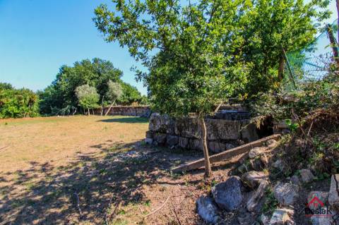 Quinta para venda em Pedro do Sul, com viabilidade de construção