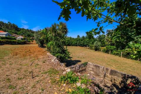 Quinta para venda em Pedro do Sul, com viabilidade de construção