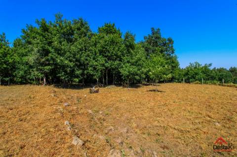 Quinta para venda em Pedro do Sul, com viabilidade de construção