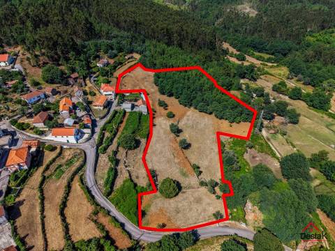 Quinta para venda em Pedro do Sul, com viabilidade de construção