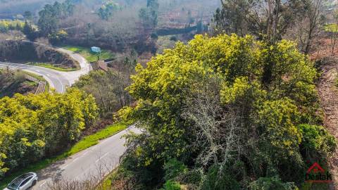 Terreno Rústico para venda Junto às Termas de São Pedro do Sul