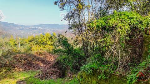 Terreno Rústico para venda Junto às Termas de São Pedro do Sul