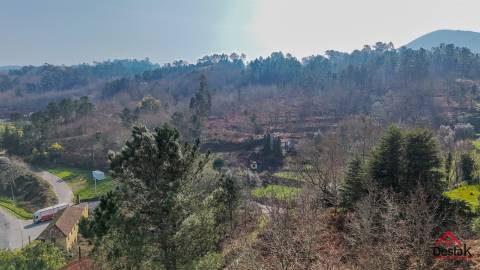 Terreno Rústico para venda Junto às Termas de São Pedro do Sul
