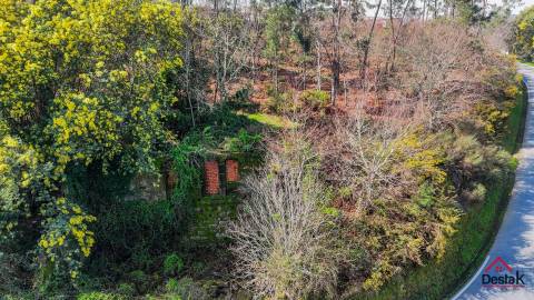 Terreno Rústico para venda Junto às Termas de São Pedro do Sul
