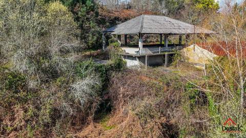 Quinta para venda em São Pedro do Sul
