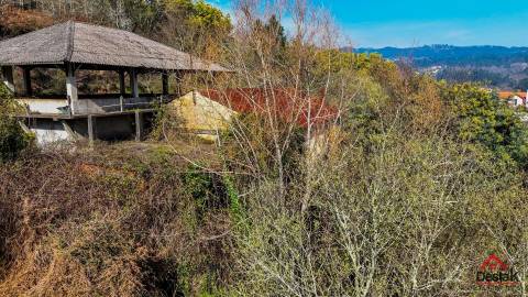 Quinta para venda em São Pedro do Sul