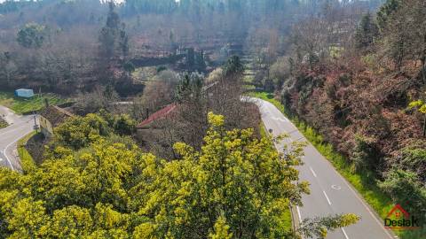 Quinta para venda em São Pedro do Sul