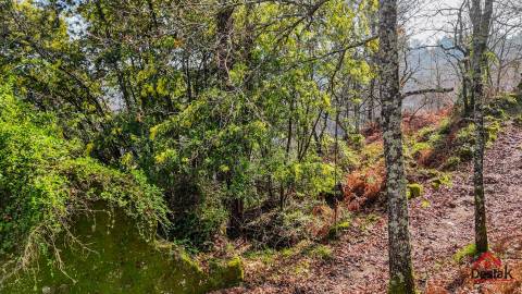Terreno Rústico para venda Junto às Termas de São Pedro do Sul