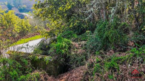 Terreno Rústico para venda Junto às Termas de São Pedro do Sul