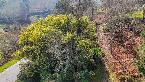 Terreno Rústico para venda Junto às Termas de São Pedro do Sul