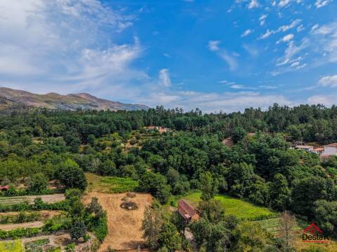 Terreno com viabilidade de construção em Aveloso de Sul- São Pedro do Sul
