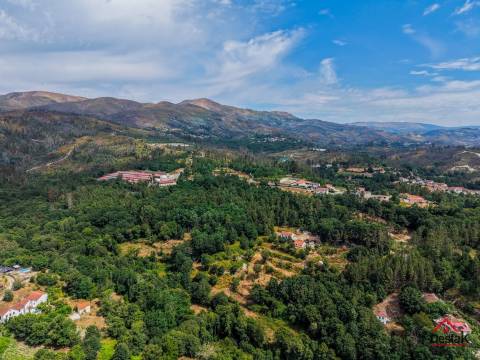 Terreno com viabilidade de construção em Aveloso de Sul- São Pedro do Sul