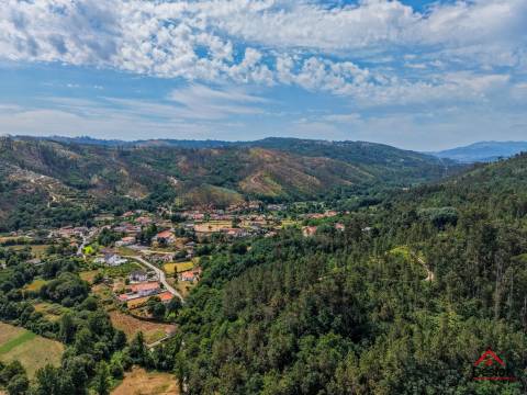 Terreno com viabilidade de construção em Aveloso de Sul- São Pedro do Sul