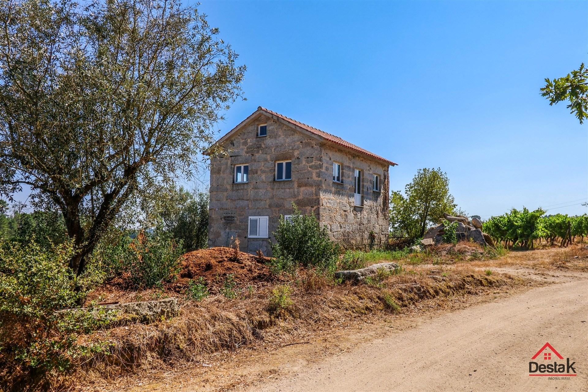 Quinta de Excelência na Região do Dão | Produção, Turismo e Investimento