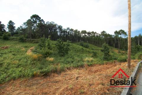Terreno Urbano para construção a dez minutos do Centro de Viseu