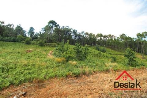 Terreno Urbano para construção a dez minutos do Centro de Viseu