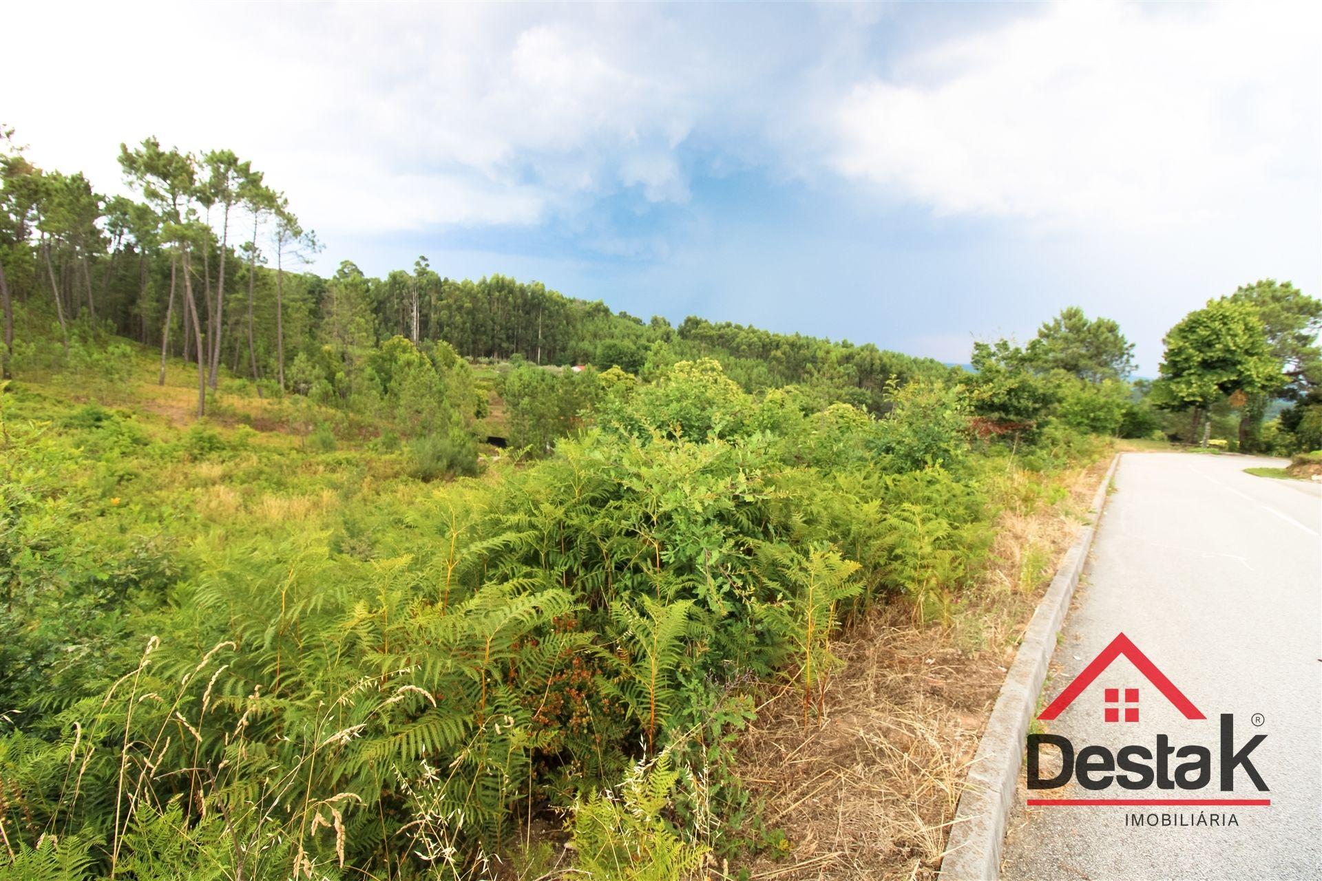 Terreno Urbano para construção a dez minutos do Centro de Viseu
