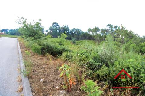 Terreno Urbano para construção a dez minutos do Centro de Viseu