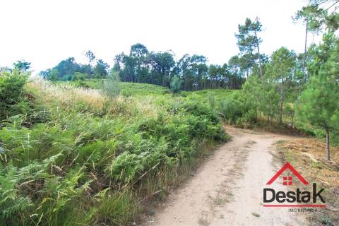 Terreno Urbano para construção a dez minutos do Centro de Viseu