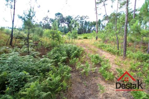 Terreno Urbano para construção a dez minutos do Centro de Viseu