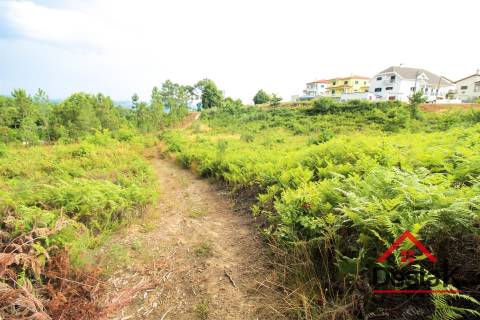 Terreno Urbano para construção a dez minutos do Centro de Viseu