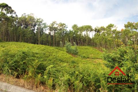 Terreno Urbano para construção a dez minutos do Centro de Viseu