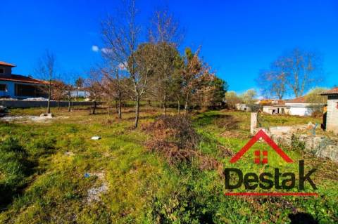 Terreno com 5000 m² para construção em Viseu