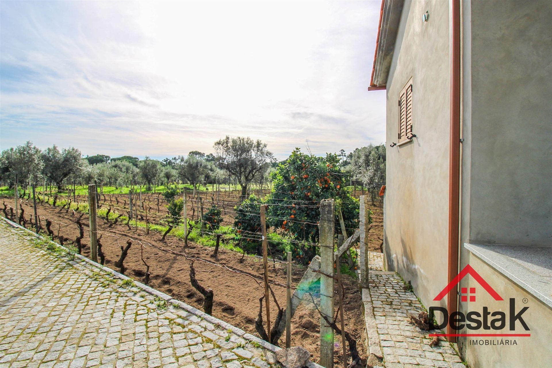 Quinta Vinhateira na região do Dão em Passos de Silgueiros