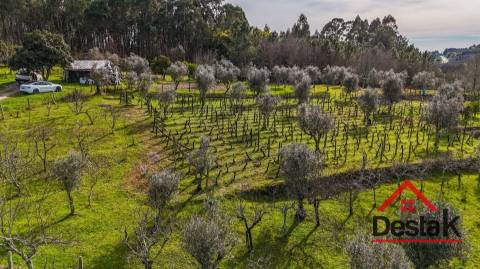 Quinta em São Miguel do Outeiro, Tondela