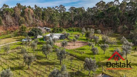 Quinta em São Miguel do Outeiro, Tondela