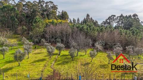 Quinta em São Miguel do Outeiro, Tondela