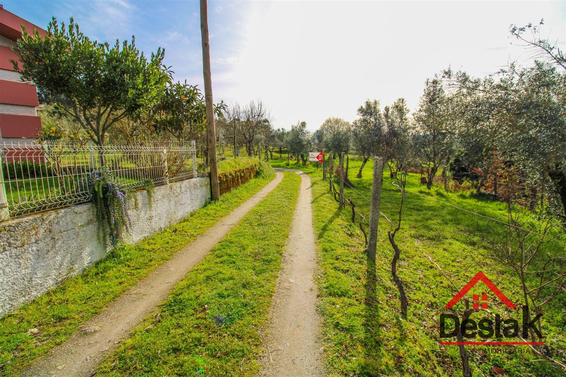 Quinta em São Miguel do Outeiro, Tondela