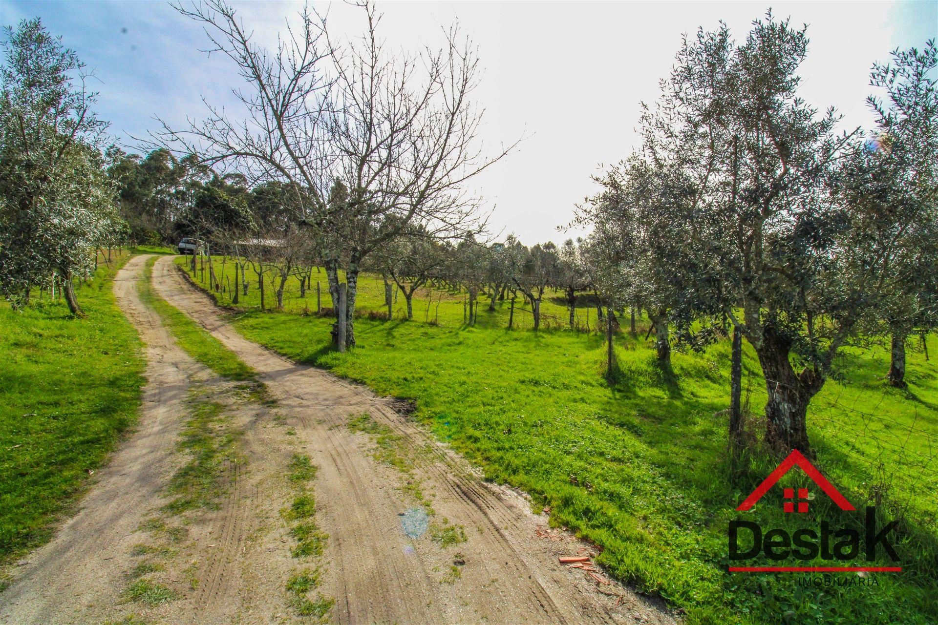 Quinta em São Miguel do Outeiro, Tondela