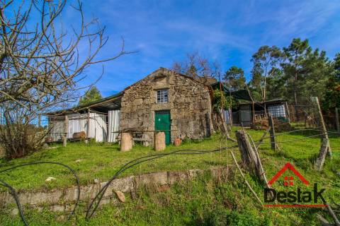 Quinta em São Miguel do Outeiro, Tondela