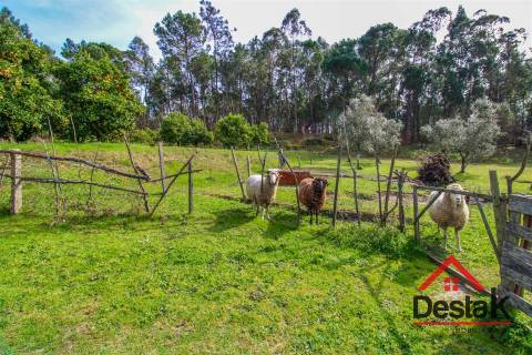 Quinta em São Miguel do Outeiro, Tondela