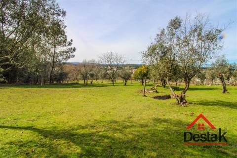 Quinta em São Miguel do Outeiro, Tondela