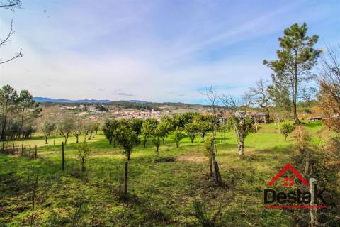 Quinta em São Miguel do Outeiro, Tondela