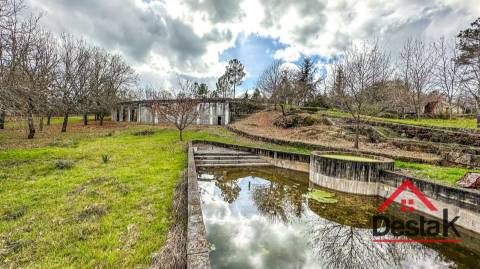 Quinta de 3 Hectares Próxima de Viseu