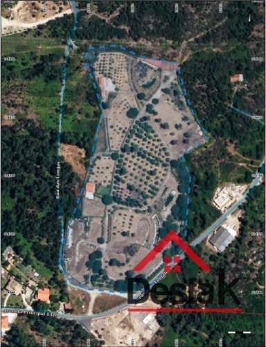 Quinta de 3 Hectares Próxima de Viseu