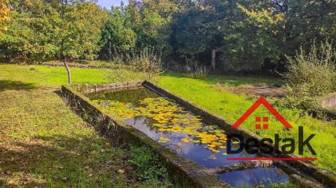 Quinta de 3 Hectares Próxima de Viseu