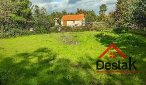 Quinta de 3 Hectares Próxima de Viseu