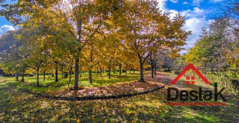 Quinta de 3 Hectares Próxima de Viseu