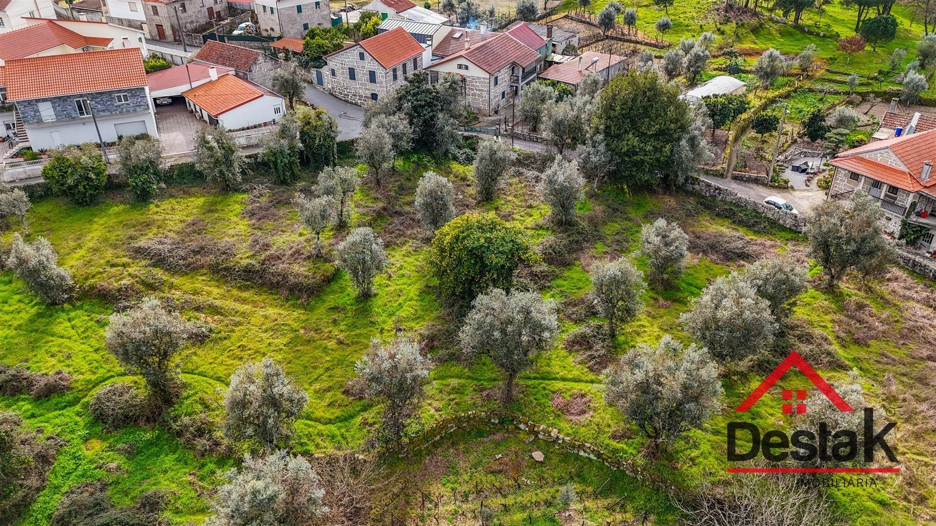 Terreno para venda em Silgueiros