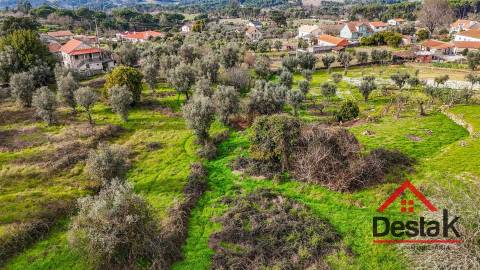 Terreno para venda em Silgueiros