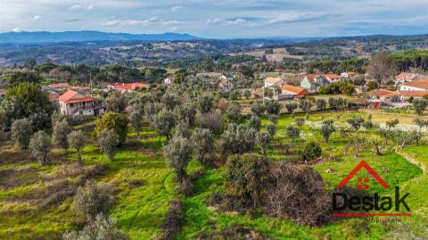 Terreno para venda em Silgueiros