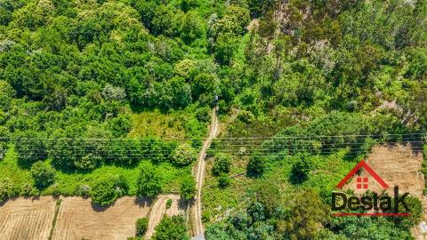 Terreno com 17.396 m² a 10 minutos de Viseu
