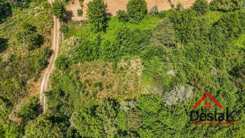 Terreno com 17.396 m² a 10 minutos de Viseu