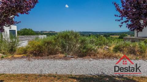Terreno Para Construção  Venda em Aguiar da Beira e Coruche,Aguiar da Beira