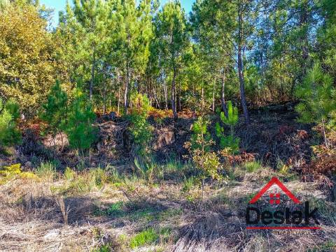 Terreno para construção em Torredeita