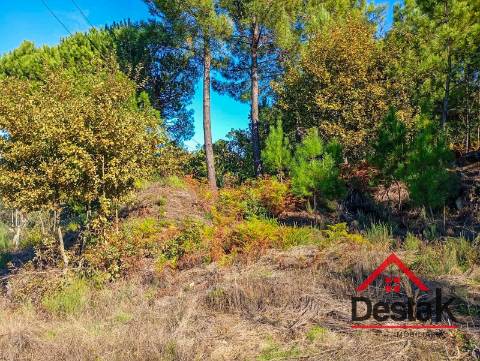 Terreno para construção em Torredeita
